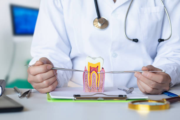 Best Emergency Dental Care for Sports Injuries in Prudenville, MI